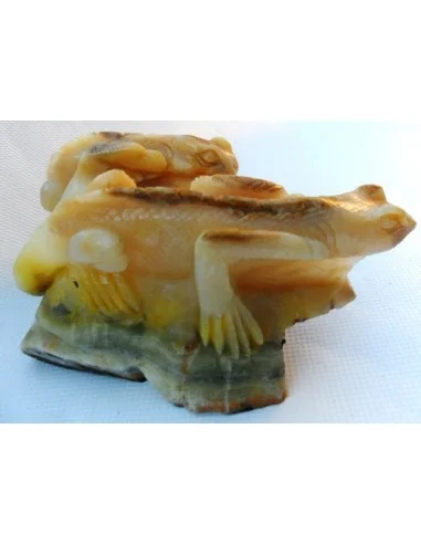 Lézards aragonite jaune