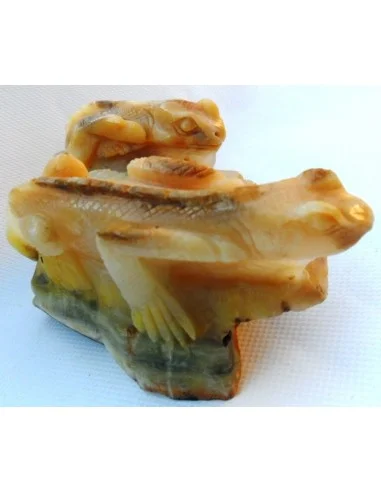 Lézards aragonite jaune