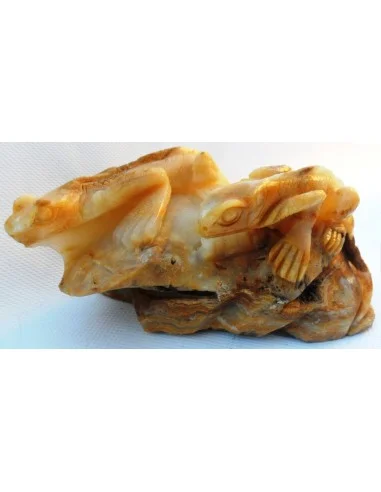 Lézards aragonite jaune