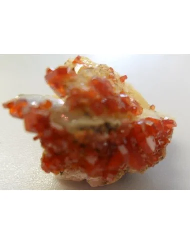 Wulfenite cristalisee