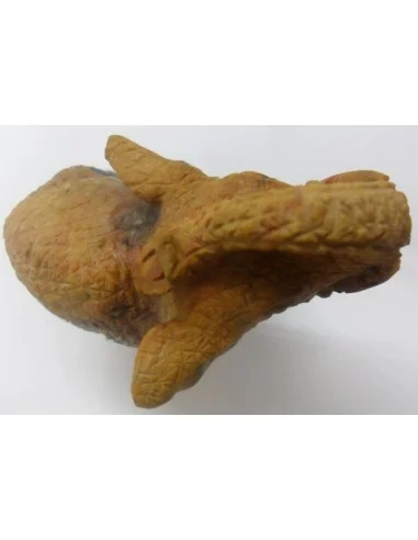 Éléphant en bois fossilisé