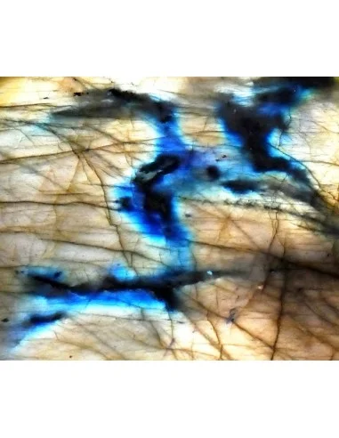 Creme labradorite, creme therapeute