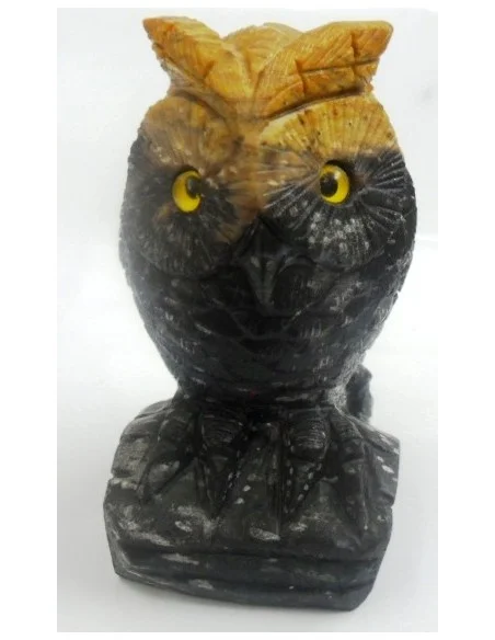 Chouette en bois fossilisé