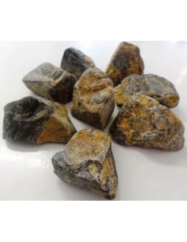Stromatolite brute