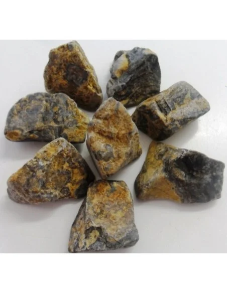 Stromatolite brute
