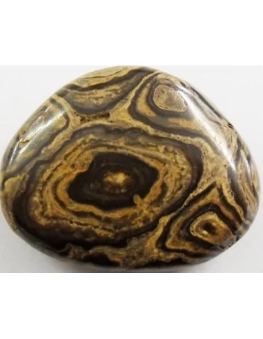 Stromatolite galet pierre