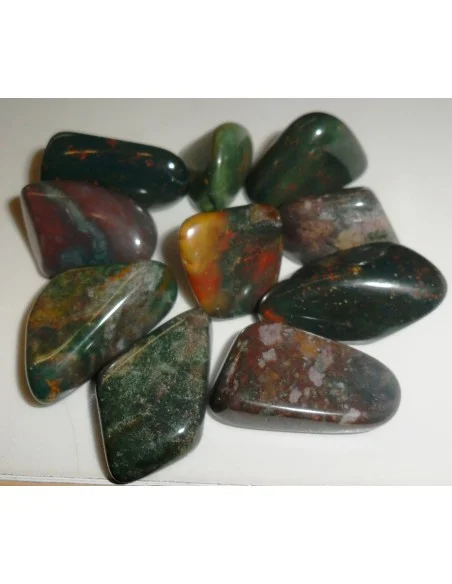 Héliotrop polis Héliotrop polis