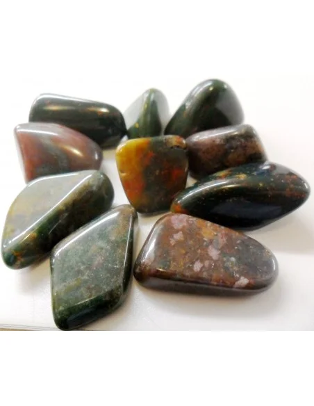 Héliotrop polis Héliotrop polis