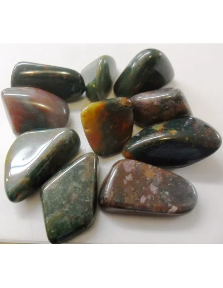 Héliotrop polis Héliotrop polis