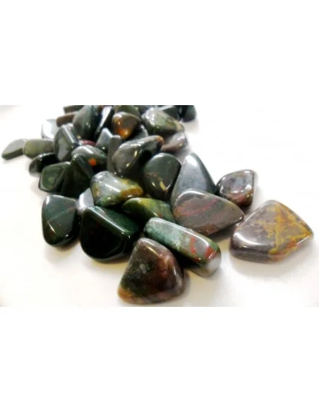 Héliotrop polis Héliotrop polis