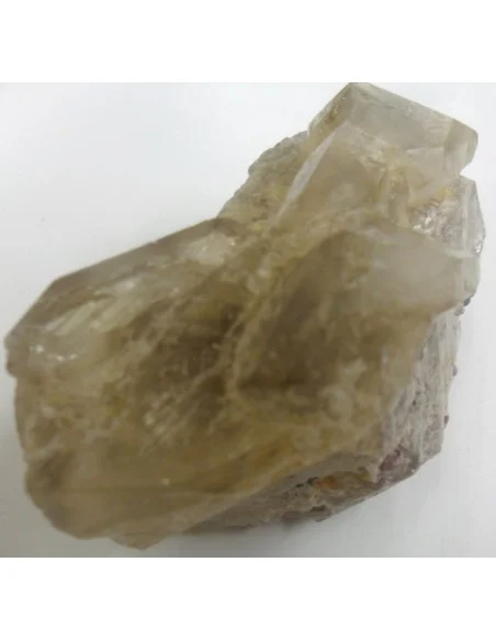 Quartz crocodile Quartz crocodile