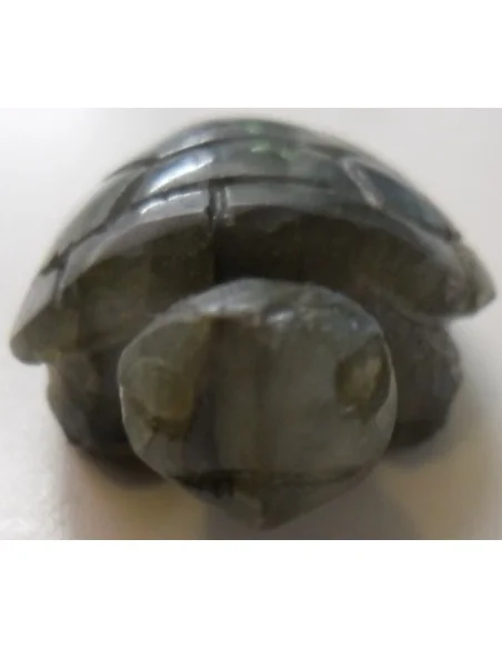 Tortue en labradorite Tortue en labradorite