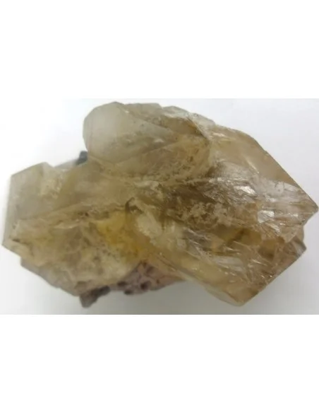 Quartz crocodile Quartz crocodile