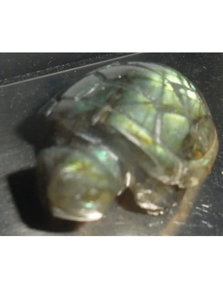 Tortue en labradorite Tortue en labradorite