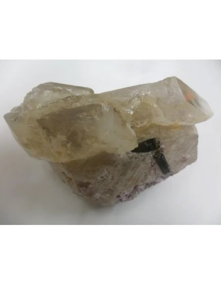 Quartz crocodile Quartz crocodile