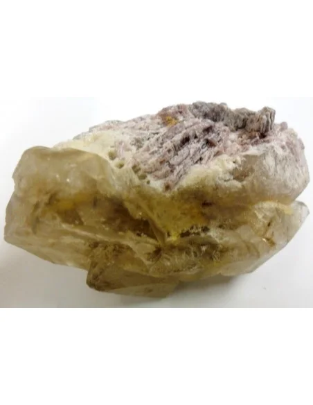 Quartz crocodile Quartz crocodile