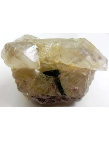 Quartz crocodile Quartz crocodile