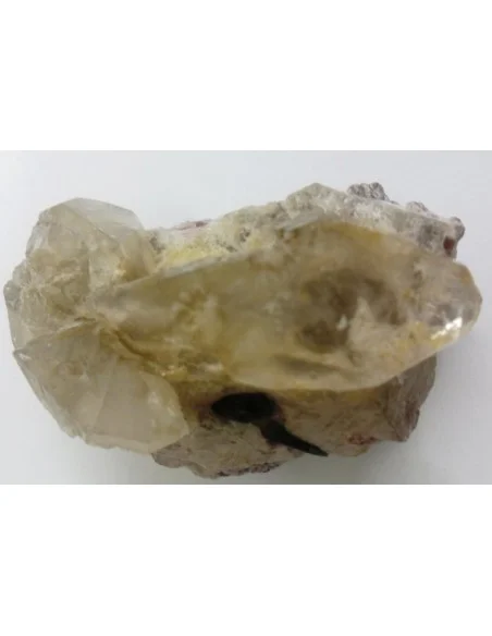 Quartz crocodile Quartz crocodile