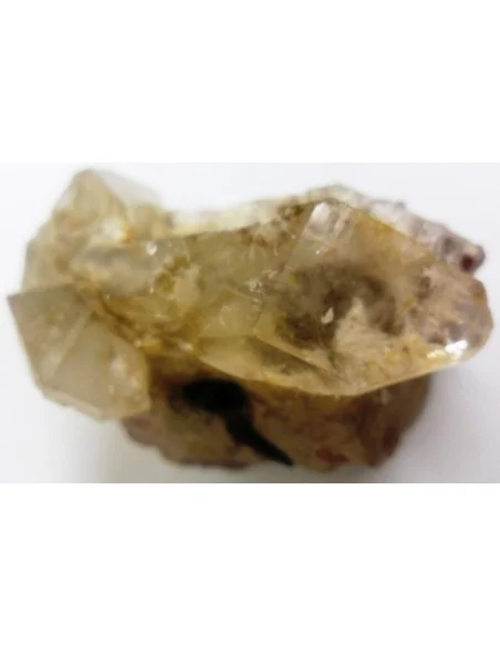 Quartz crocodile Quartz crocodile