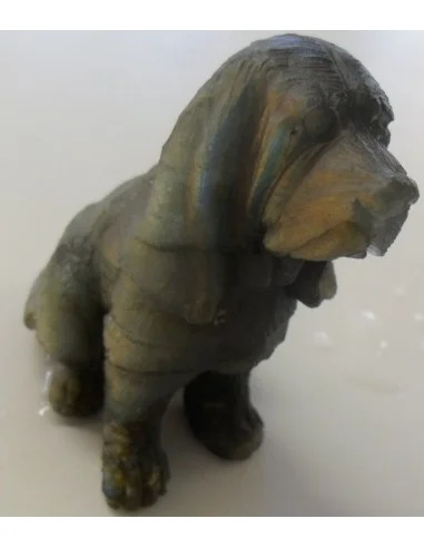 Labradorite chien