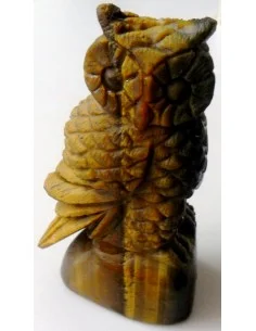 Oeil de tigre hibou