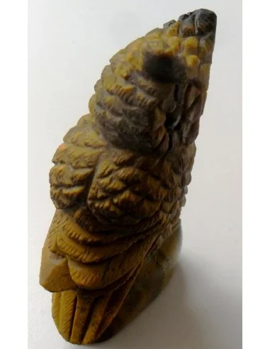 Oeil de tigre hibou