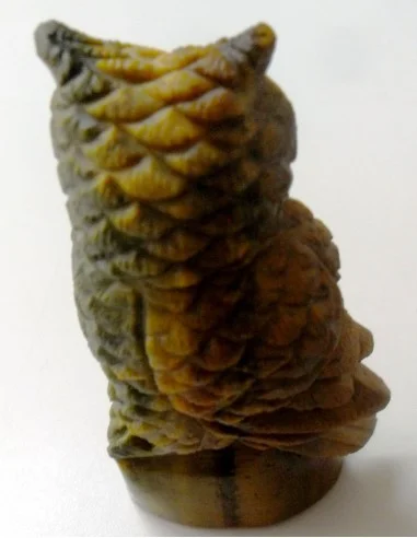 Oeil de tigre hibou