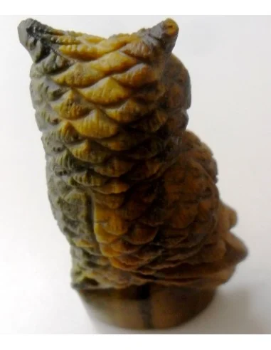 Oeil de tigre hibou