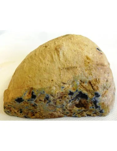 Cône agate magnifique!