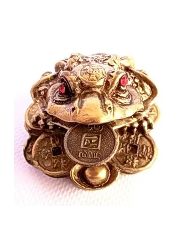 Grenouille de la chance. Pour nouvelle année