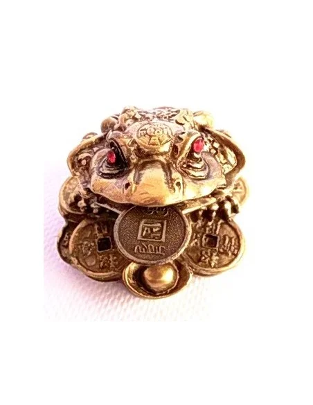 Grenouille de la chance. Pour nouvelle année