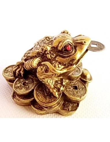 Grenouille de la chance. Pour nouvelle année