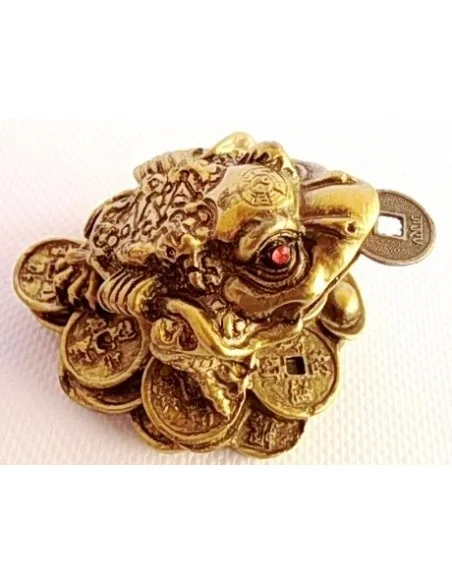 Grenouille de la chance. Pour nouvelle année