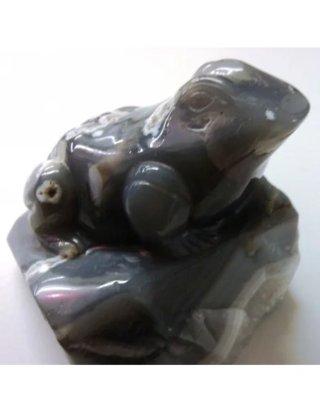 Grenouille en agate de Bostwanna