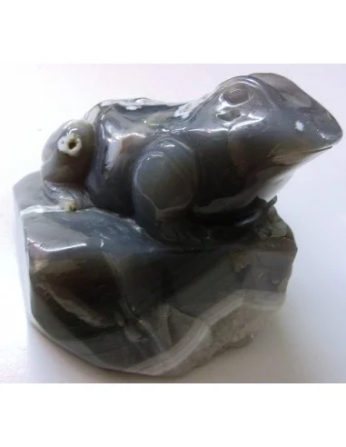 Grenouille en agate de Bostwanna