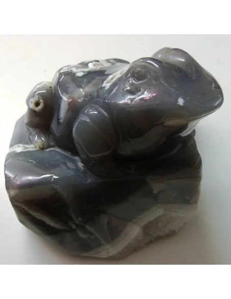 Grenouille en agate de Bostwanna