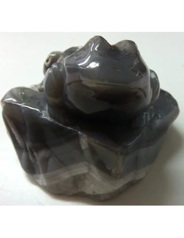 Grenouille en agate de Bostwanna