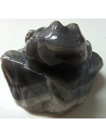 Grenouille en agate de Bostwanna