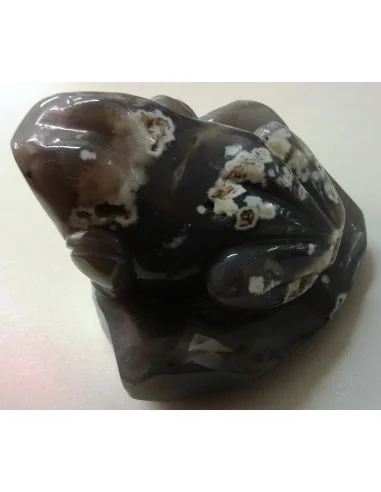 Grenouille en agate de Bostwanna