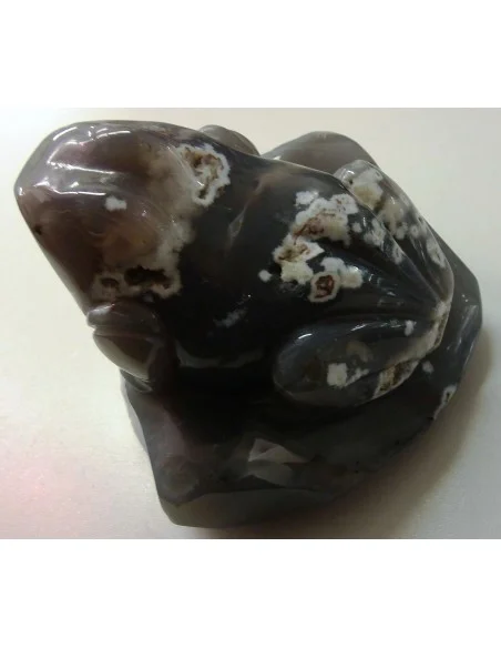 Grenouille en agate de Bostwanna
