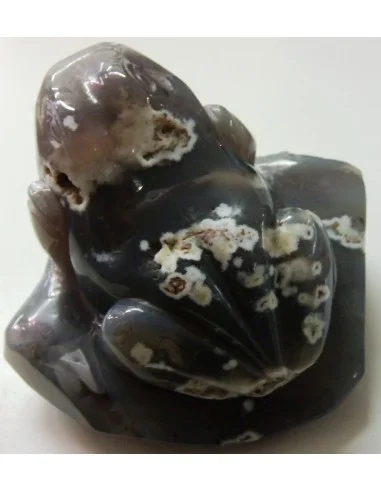Grenouille en agate de Bostwanna