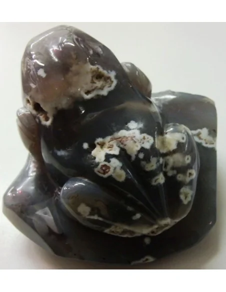 Grenouille en agate de Bostwanna