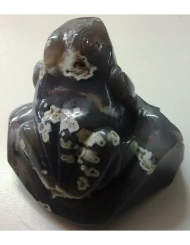 Grenouille en agate de Bostwanna