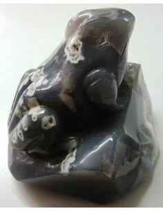Grenouille en agate de Bostwanna