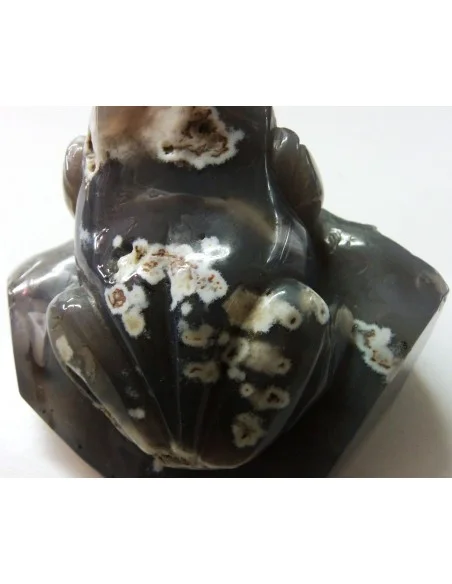 Grenouille en agate de Bostwanna