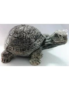 Grand tortue en Jaspe leopard