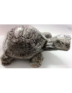 Grand tortue en Jaspe leopard 2
