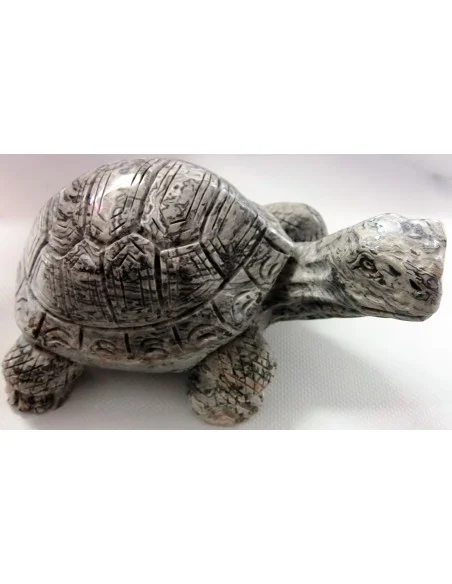 Grand tortue en Jaspe leopard Grand tortue en Jaspe leopard