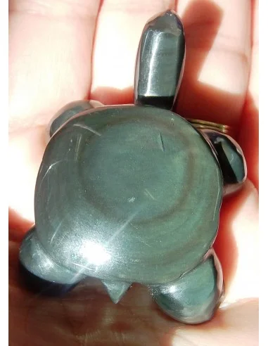 Tortue Obsidienne Oeil Celeste pendentif