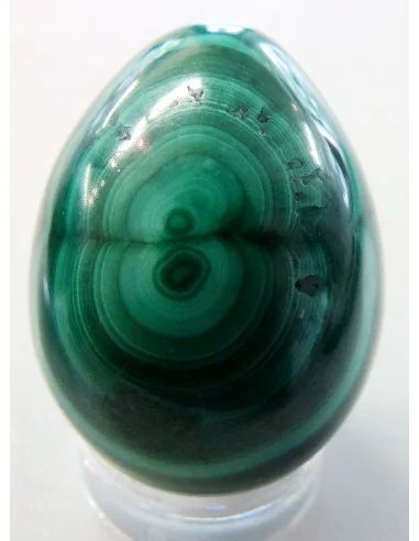 Malachite oeuf 25mm